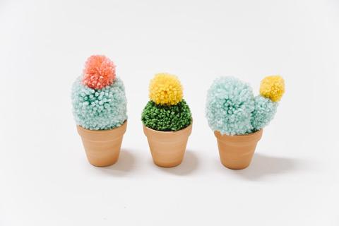 Three cacti made with pom poms and a small terracotta pot. 