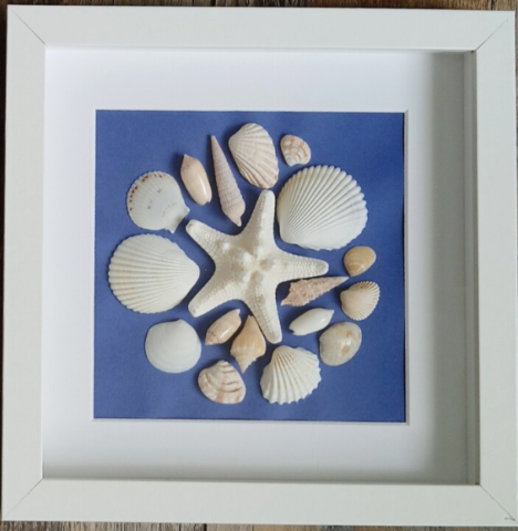 Framed seashell art piece