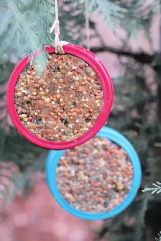 Canning Jar Lid Bird Feeder