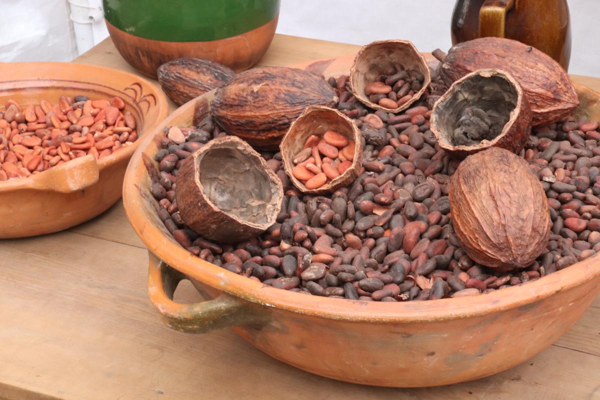 Cacao beans and shells in traditional Mexican pottery