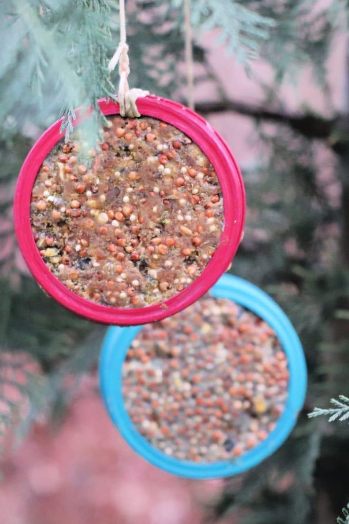Canning Jar Lid Bird Feeder